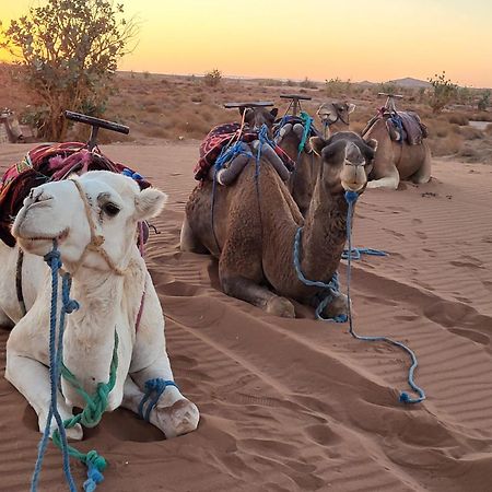 Desert Bivouac Mhamid M'Hamid Eksteriør bilde