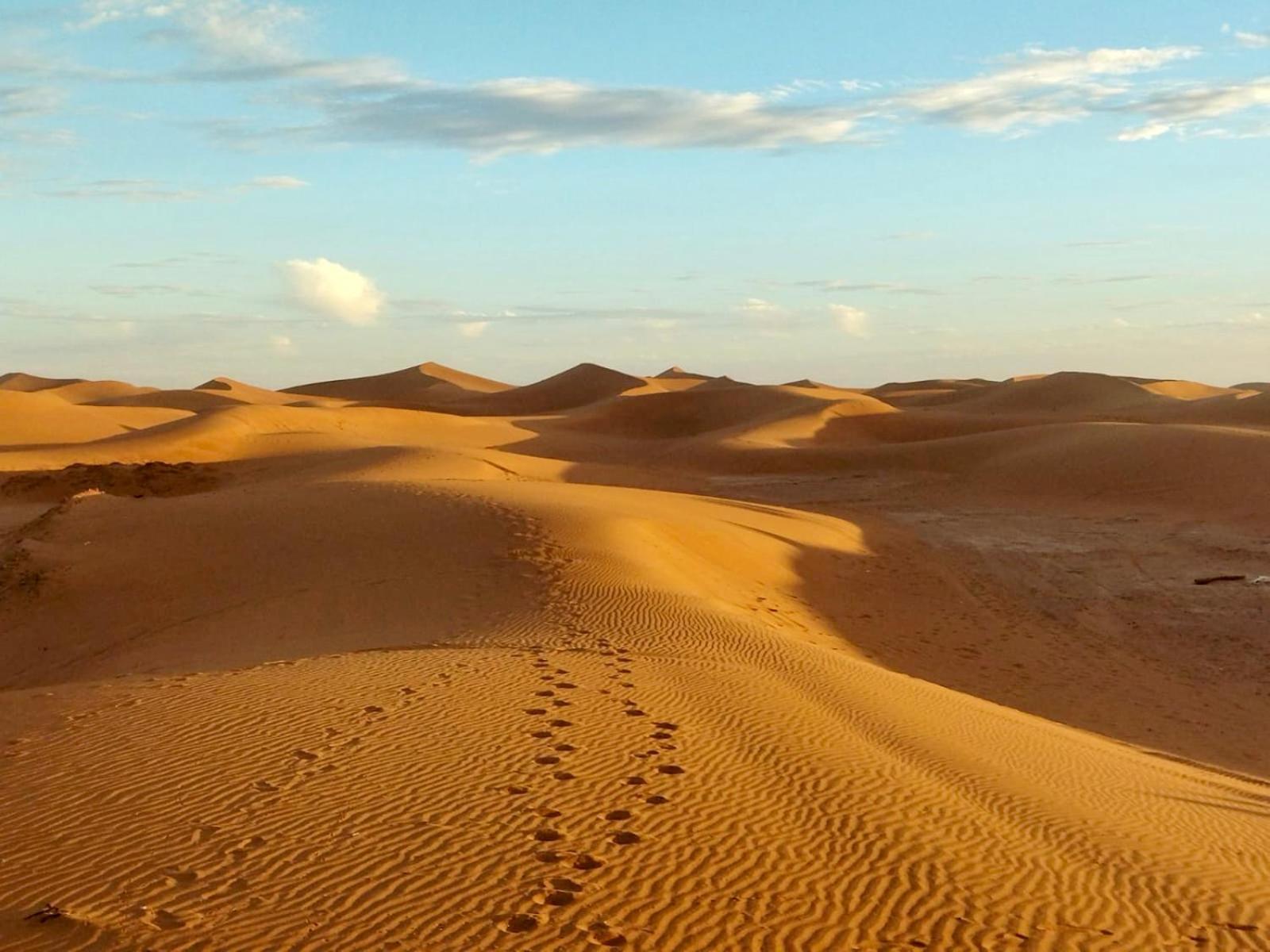 Desert Bivouac Mhamid M'Hamid Eksteriør bilde